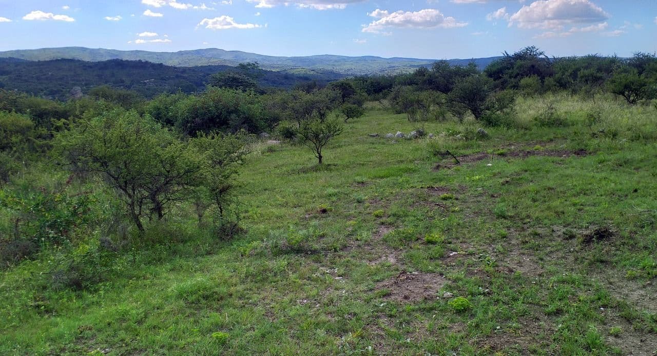 Ver foto 3 de Se un visionario inversor,aposta al futuro ,Dos lotes sobre la nueva Autovia -La Falda -